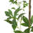 94.5'' Faux Eucalyptus Tree in Planter