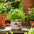 Handcrafted Cement Planter with Textured Tree Trunk Design and Mushroom Accents - Decorative Pot for Indoor and Outdoor Spaces.-108204337