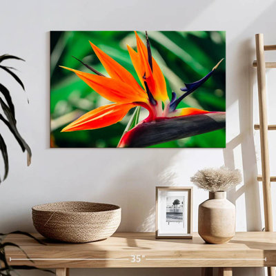 Harnek Crane Lily Close Up