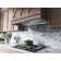 Core Zephyr 48" 1200 CFM Insert Mount Range Hood with LED Light in Stainless Steel