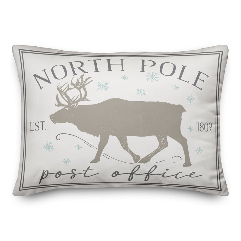  Rectangular Pillow Cover & Insert