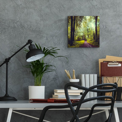 Art mural en verre Millwood Pines «Never the identique encore» par Dirk Wustenhagen