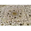 Oriental Area Rug