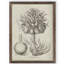 «Fresco Crown Imperial III» par Paul Cezanne - reproduction d'art encadrée-1138327999-1138327940