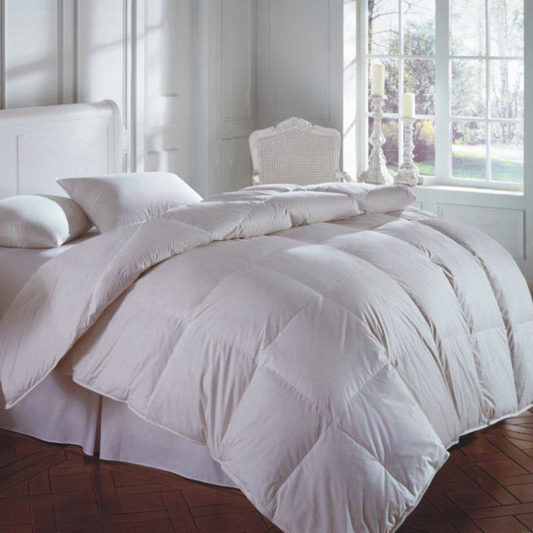 Hidalgo Down Plush Pillow, European