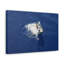 No Frame Print on Canvas-478983952