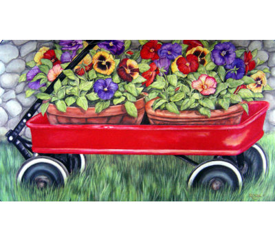 Dannon Non-Slip Indoor Doormat