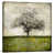 Toile tendue