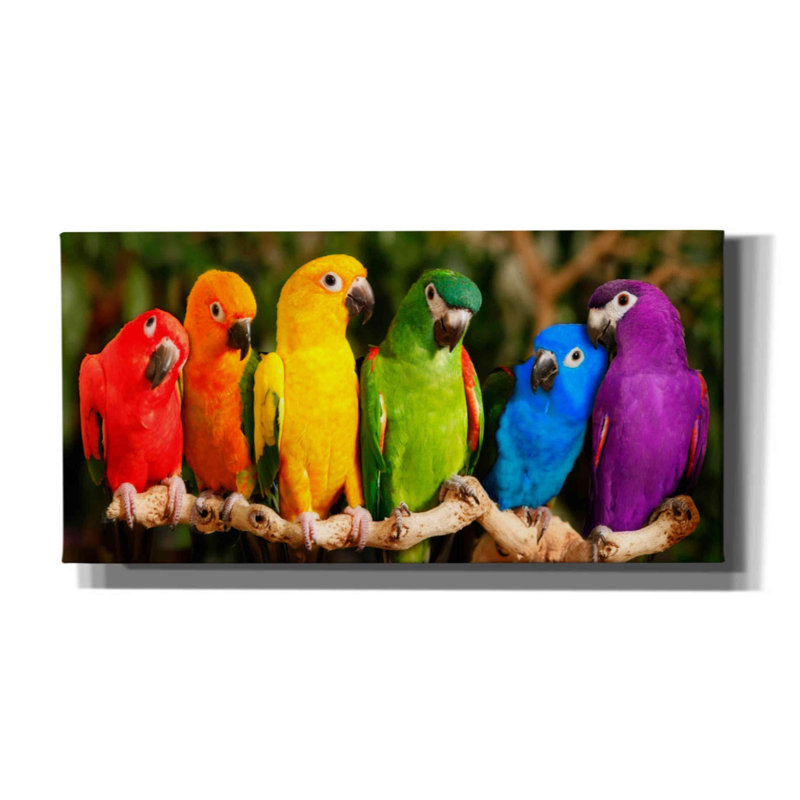 Rainbow Parrots - Photographie sur toile tendue, H 12 po x l 24 po x P 0,75 po