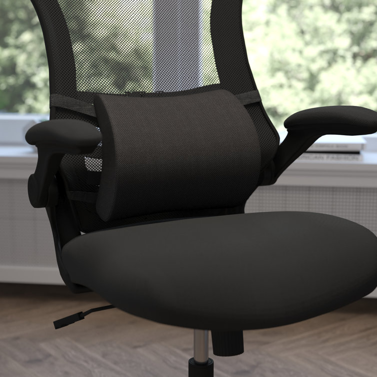 https://assets.wfcdn.com/im/59224827/resize-h755-w755%5Ecompr-r85/2057/205787281/Pillion+Mobile+Adjustable+Lumbar+Support+Pillow+for+Office+Chairs+and+Car+Seats.jpg