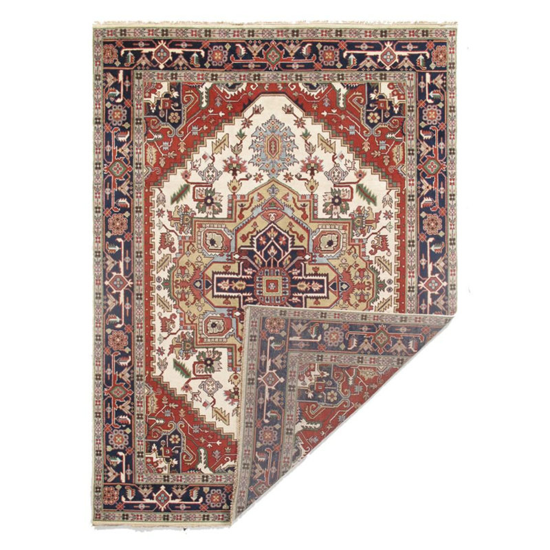 Xavious Oriental Area Rug