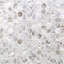 Oyster Penny Round 11.81 In. X 11.81 In. Pearl Mosaic Tile