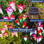 Piquet de jardin Sowaz
