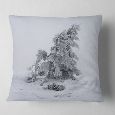 Grayscale Valley in Frost - Landscape Printed Pillow