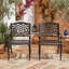 Ensemble de 2 fauteuils d'extérieur avec volutes élégantes, treillis classique, motifs floraux et structures résistantes à la rouille-1815694796