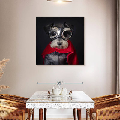 Crowle Superhero Schnauzer