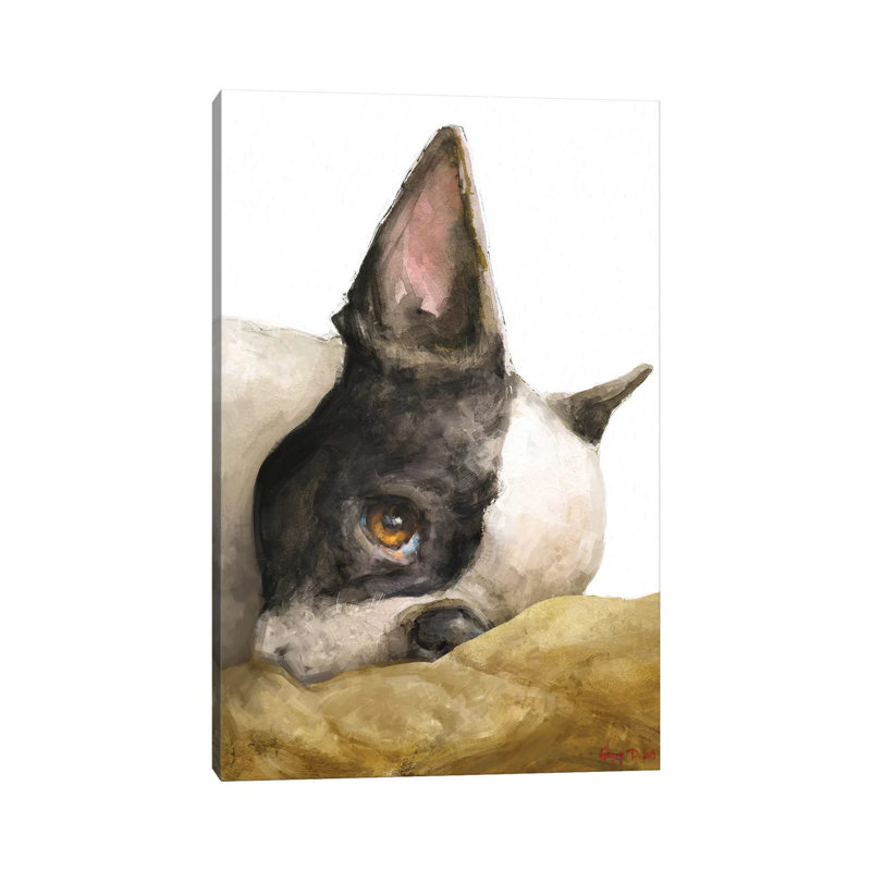 «Boston Terrier White fond» par George Dyachenko, reproduction d'art sur toile tendue, H 18 po x l 12 po x 1,5 po