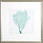 Sea Fan I Print by Vision