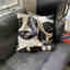 Customer photo 2 of 2