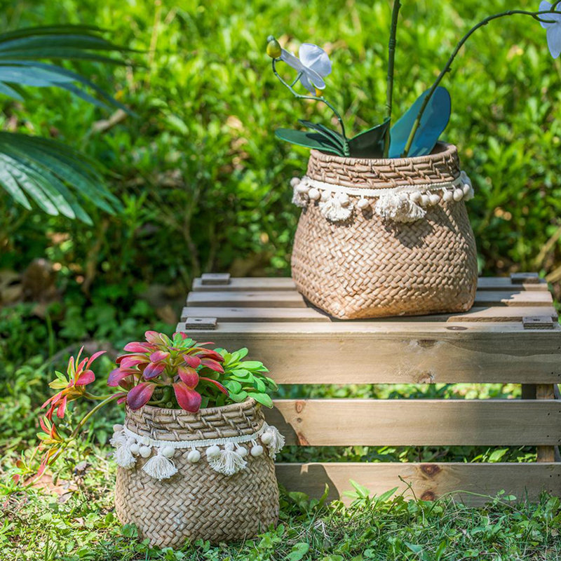 Ensemble de 2 pots à fleurs en ciment bruns 6,5 x 6,5 x 6 po