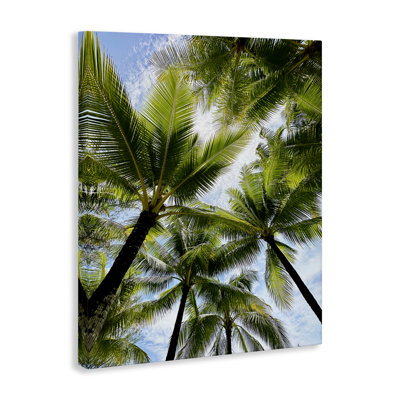 "Overhead Palm Trees", art mural par Kali Wilson