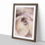 Pale Pink Rose - Framed Print-55578192-55578193