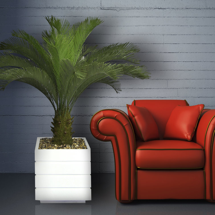 Panama 54" Artificial Palm Tree in Planter