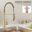 Eqloo Pull Down Kitchen Faucet