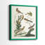 Oiseaux antiques dans la nature, impression encadrée de qualité supérieure - prête à être accrochée - aucun clou requis - aucun clou requis-1103485825-1103485947