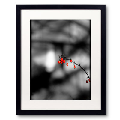 The Red Berries Print by Alan Scherer