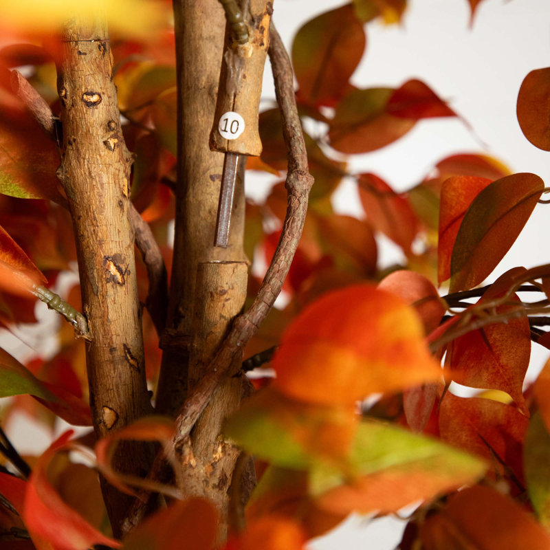 Arbre d'automne artificiel Autumn Ficus, Orange, H 120 po x l 48 po x P 48 po