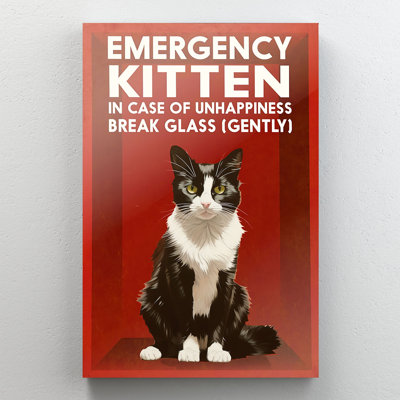 Toile d'urgence chat chaton d'urgence
