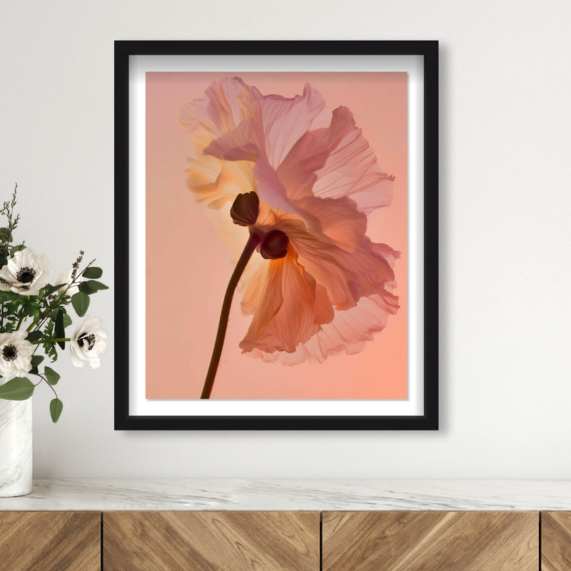 Amber Radiance III Shadowbox Floral & Botanical Print by Oliver Gal, Black Frame, 16 x 20, 21.5"H x 25.5"W, Black Shadowbox