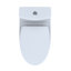 Aquia® Dual-Flush Elongated One-Piece Toilet with Tornado Flush (Seat Included)