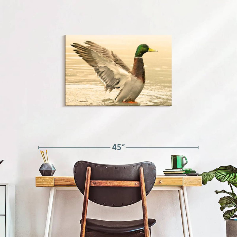 Canard colvert majestueux Brampt, H 20 po x l 30 po