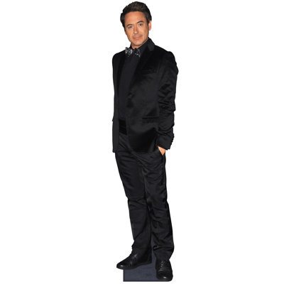 Robert Downey Jr Cutout Cardboard Standup