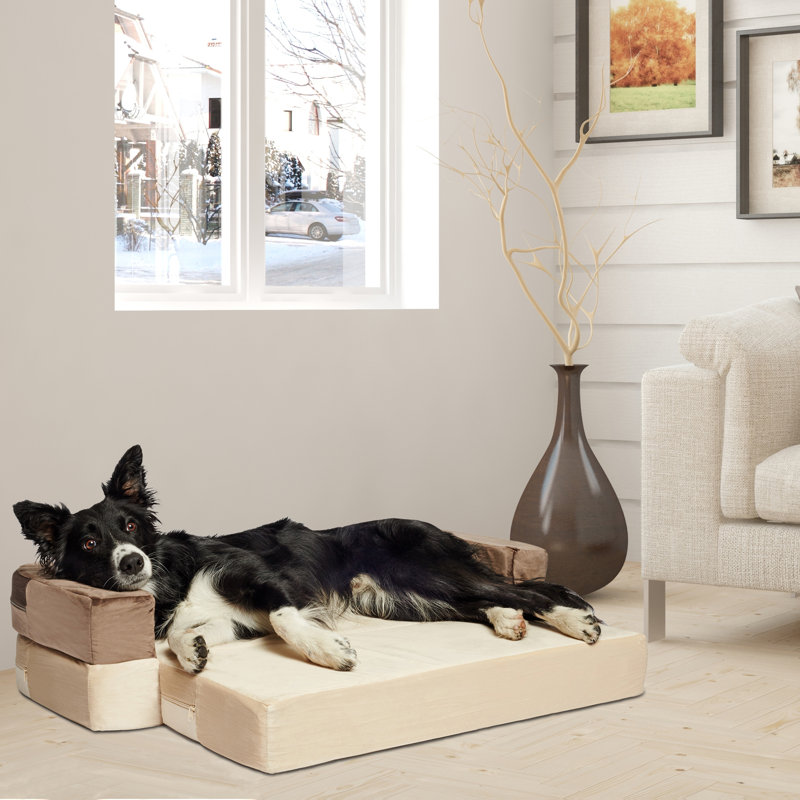 Canapé-lit orthopédique pour animal de compagnie convertible en velours Larry, Moyen (l 36 po x P 28 po x H 4 po), Moka