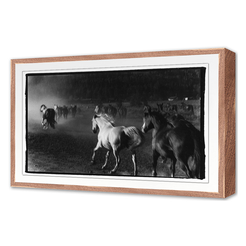 Hoof Dreams Print by Raab, Amy, Walnut Single Picture Framed, 20'' H x 30'' W