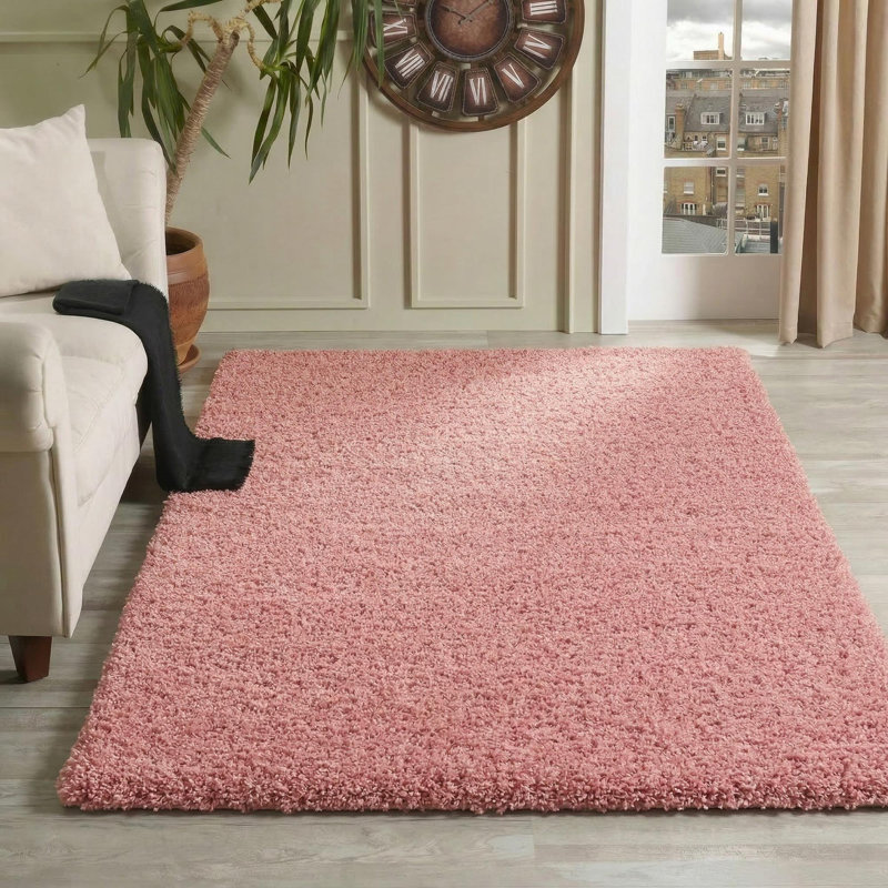 Esterly Solid Colour Shag Area Rug, Rectangle 120 x 170cm