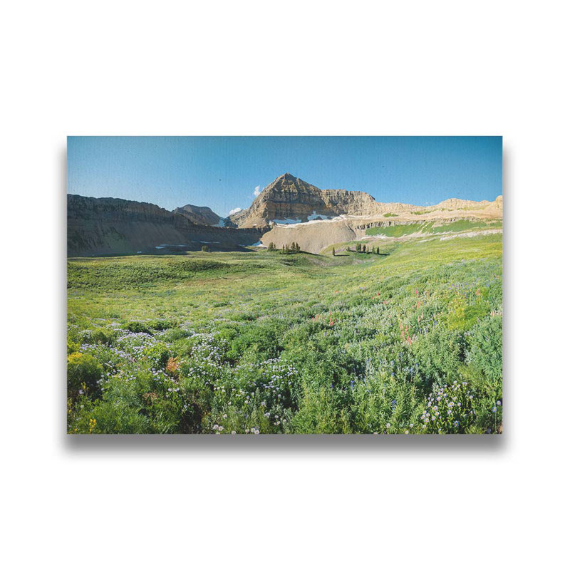 Timpanogos Basin par Scott Barlow. Estampe numérique, image, H 40,5 po x l 60,5 po, Reproduction encadrée sans passe-partout