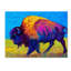 «Prairie Dusk» par Marion Rose, reproduction sur toile-21935862