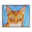 «Bold Cat» sur toile giclée bleue, design par Tatiana Roberts-1642874451-1642874448