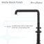 Avallon Double Handle Kitchen Faucet with Side Spray-61433327