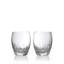 Lismore Essence 13.5floz Double Old Fashioned