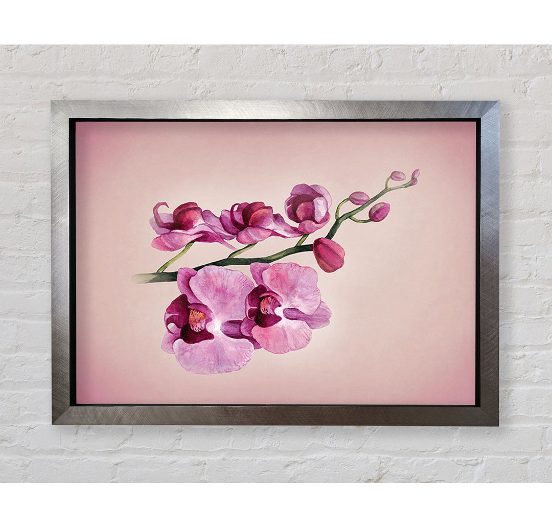 Glasbild Pink Orchid