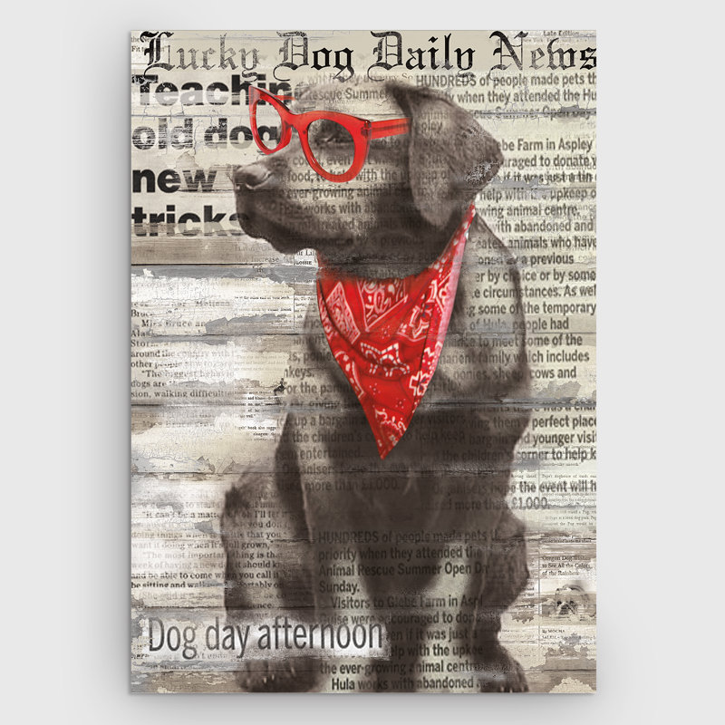 « chanceux dog » par carol robinson, impression sur toile tendue, H 36 po x l 48 po x P 1,5 po