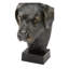 Dex Bust