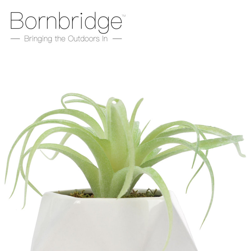 2.75" Artificial Tillandsia Succulent in Planter