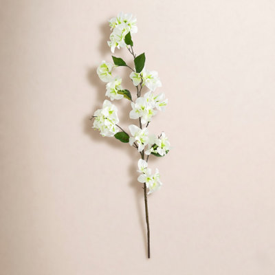 Bougainvillea Floral Stems