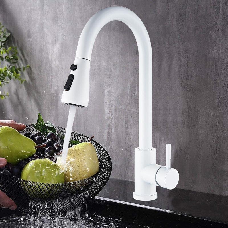 Belfry Kitchen Burna Kitchen Faucet